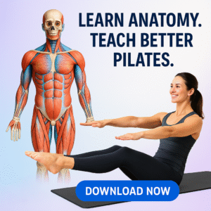Basic Anatomy for Pilates Instructors Course