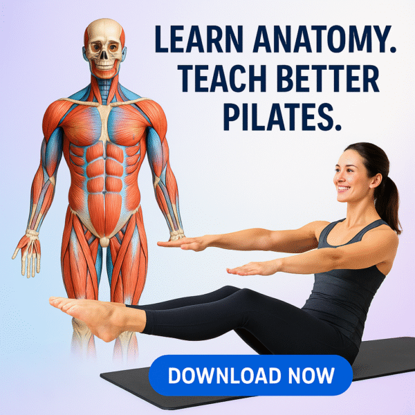 Basic Anatomy for Pilates Instructors Course
